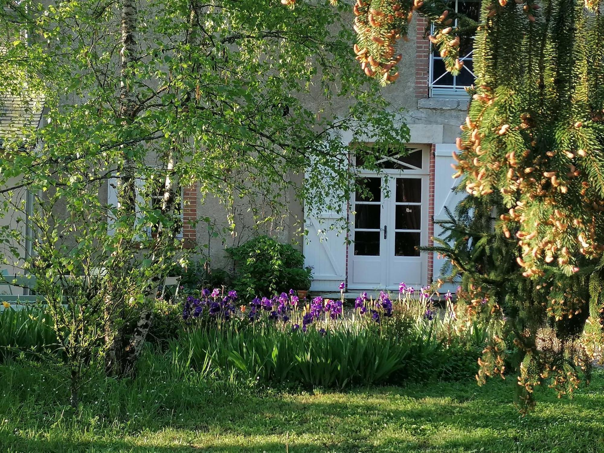 La Robiniere Maison D'Hotes Hotel Mont-près-Chambord Екстериор снимка